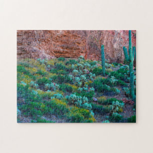 VS, Arizona. Woestijnflora Legpuzzel