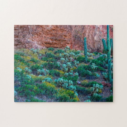 VS, Arizona. Woestijnflora Legpuzzel (Horizontaal)