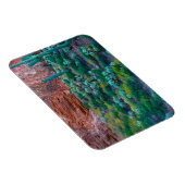 VS, Arizona. Woestijnflora Magneet (Rechterzijde)