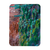 VS, Arizona. Woestijnflora Magneet (Verticaal)