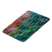 VS, Arizona. Woestijnflora Magneet (Linkerzijde)