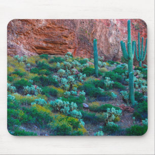 VS, Arizona. Woestijnflora Muismat