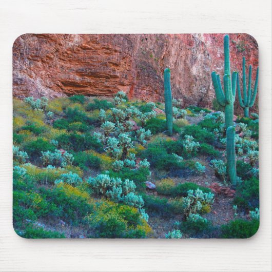VS, Arizona. Woestijnflora Muismat (Voorkant)