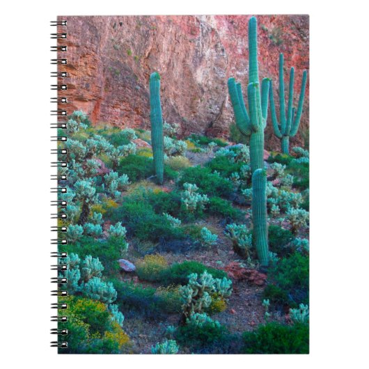 VS, Arizona. Woestijnflora Notitieboek (Voorkant)