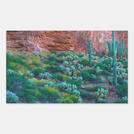 VS, Arizona. Woestijnflora Rechthoekige Sticker (Voorkant)