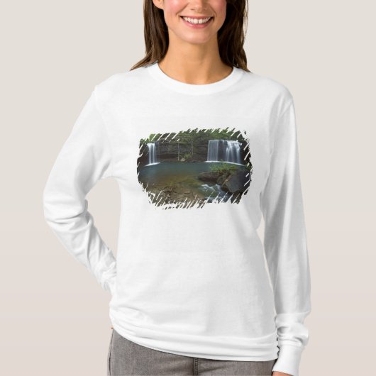 VS, Arkansas, Ozark-St Francis Nationaal T-shirt (Voorkant)