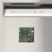 VS, Arkansas, Ozark- St Francis National Magneet (Insitu (Vaatwasser))