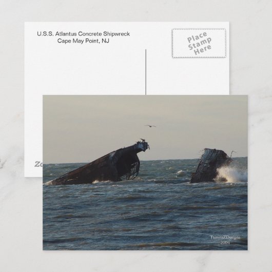VS Atlantus Concrete Shipwreck, NJ Briefkaart (Voorkant / Achterkant)