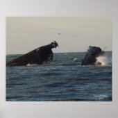 VS Atlantus Concrete Shipwreck Poster (Voorkant)