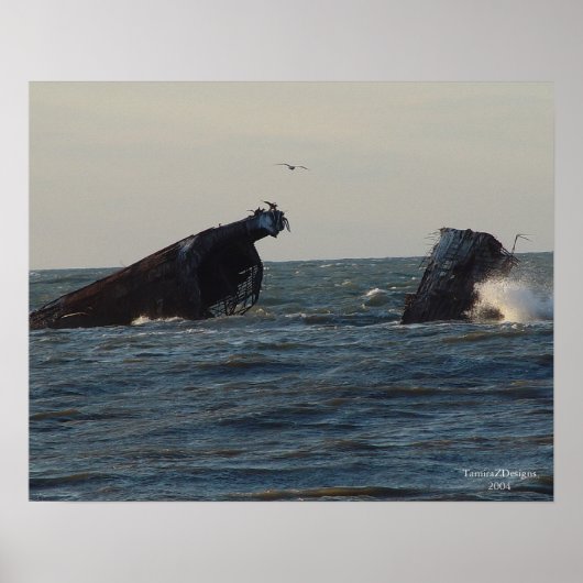 VS Atlantus Concrete Shipwreck Poster (Voorkant)