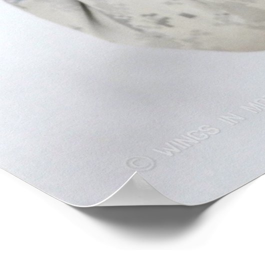 VS BESTRIJDEN PERSONEEL POSTER (Hoek)