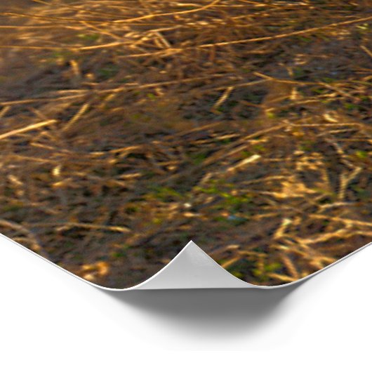 VS BESTRIJDEN VROUWEN POSTER (Hoek)