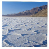 VS, CA, Death Valley NP, Zoutformaties bij Tegeltje (Voorkant)