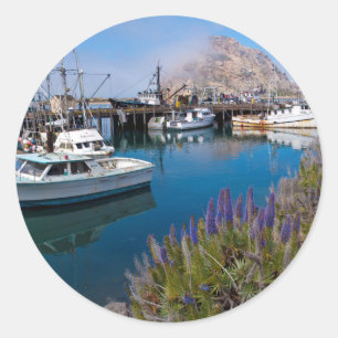 VS, Californië. Aangelegde boten bij Morro Bay Ronde Sticker
