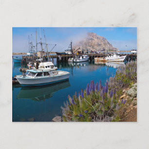 VS, Californië. Aangemeerde boten bij Morro Bay Briefkaart