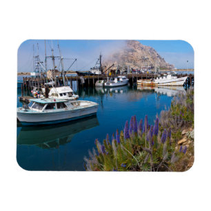 VS, Californië. Aangemeerde boten bij Morro Bay Magneet