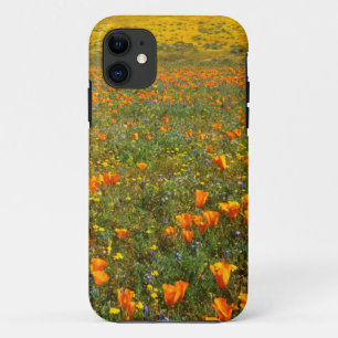 VS, Californië, Antelope Valley Californië iPhone 11 Hoesje