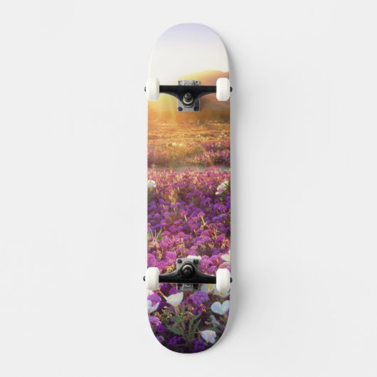 VS, Californië, Anza-Borrego Desert State Park. 2 Persoonlijk Skateboard (Voorkant)