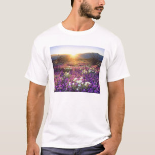 VS, Californië, Anza-Borrego Desert State Park. 2 T-shirt