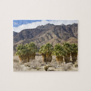 VS, Californië, Anza-Borrego Desert State Park. Legpuzzel