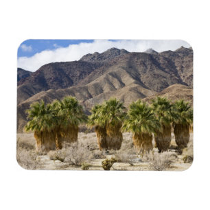 VS, Californië, Anza-Borrego Desert State Park. Magneet
