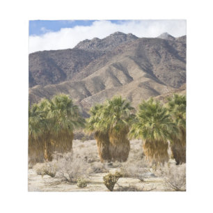 VS, Californië, Anza-Borrego Desert State Park. Notitieblok