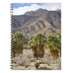VS, Californië, Anza-Borrego Desert State Park. Notitieboek
