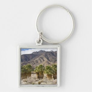 VS, Californië, Anza-Borrego Desert State Park. Sleutelhanger