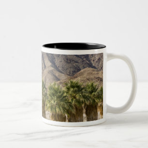 VS, Californië, Anza-Borrego Desert State Park. Tweekleurige Koffiemok