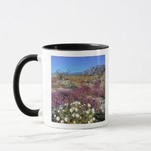 VS, Californië, Anza-Borrego DSP. Duin teunisbloem Mok