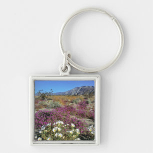 VS, Californië, Anza-Borrego DSP. Duin teunisbloem Sleutelhanger