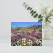 VS, Californië, Anza-Borrego DSP. Dune avond Briefkaart (Staand voorkant)