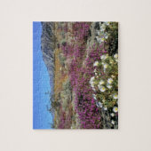 VS, Californië, Anza-Borrego DSP. Dune avond Legpuzzel (Verticaal)