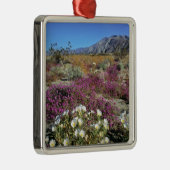 VS, Californië, Anza-Borrego DSP. Dune avond Metalen Ornament (Rechts)