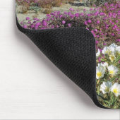 VS, Californië, Anza-Borrego DSP. Dune avond Muismat (Hoek)