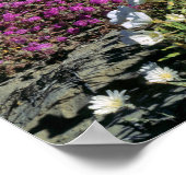 VS, Californië, Anza-Borrego DSP. Dune avond Poster (Hoek)