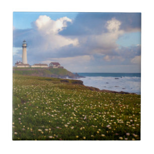 VS, Californië. Big Sur Panorama 2 Tegeltje