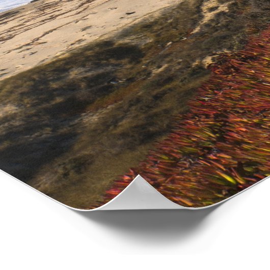 VS, Californië, Big Sur, Rode planten op het stran Poster (Hoek)