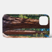 VS, Californië. Boomboomstammen, Mariposa Case-Mate iPhone Case (Achterkant (horizontaal))