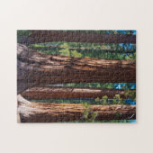 VS, Californië. Boomboomstammen, Mariposa Legpuzzel (Horizontaal)