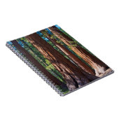 VS, Californië. Boomboomstammen, Mariposa Notitieboek (Rechterzijde)