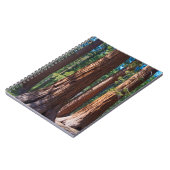 VS, Californië. Boomboomstammen, Mariposa Notitieboek (Linkerzijde)