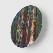 VS, Californië. Boomboomstammen, Mariposa Ronde Klok (Hoek)