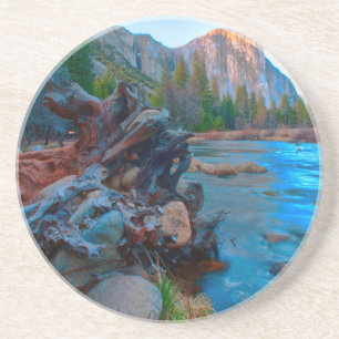 VS, Californië. Boomwortelen in de Merced rivier Zandsteen Onderzetter