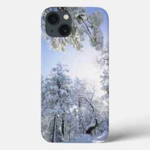 VS, Californië, Cleveland National Forest, iPhone 13 Hoesje