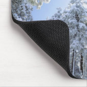 VS, Californië, Cleveland National Forest, Muismat (Hoek)