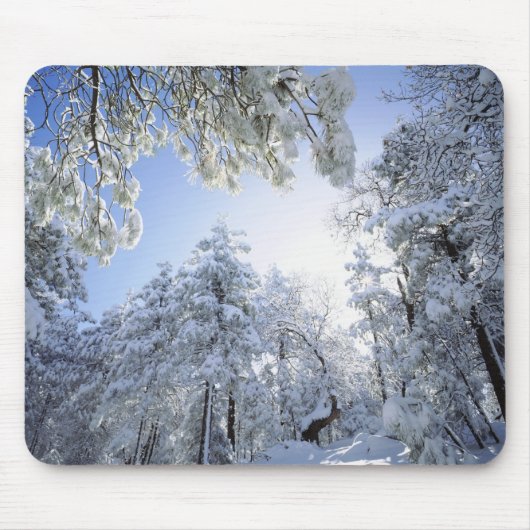 VS, Californië, Cleveland National Forest, Muismat (Voorkant)