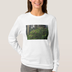 VS, Californië, Del Norte, Redwoods St. Park, T-shirt