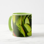 VS, Californië. Giant Lobelia Plant sluit af Mok (Voorkant links)