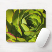 VS, Californië. Giant Lobelia Plant sluit af Muismat (Met muis)